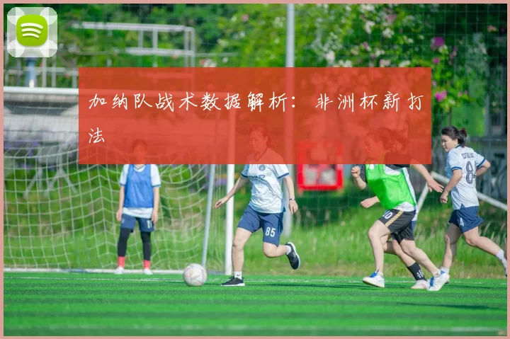 加纳队战术数据解析：非洲杯新打法