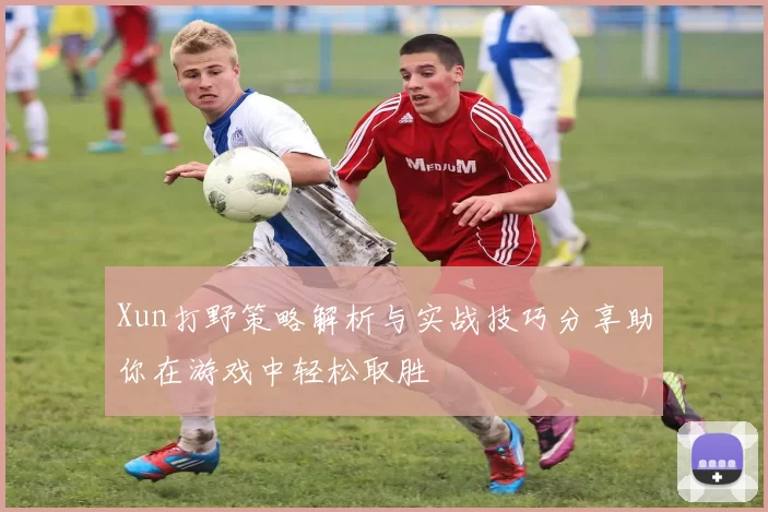 Xun打野策略解析与实战技巧分享助你在游戏中轻松取胜