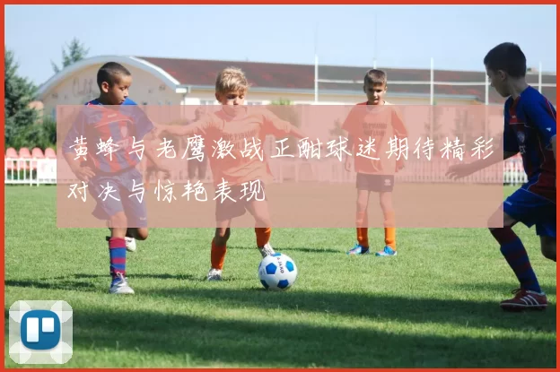 黄蜂与老鹰激战正酣球迷期待精彩对决与惊艳表现