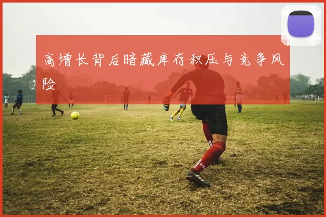 高增长背后暗藏库存积压与竞争风险