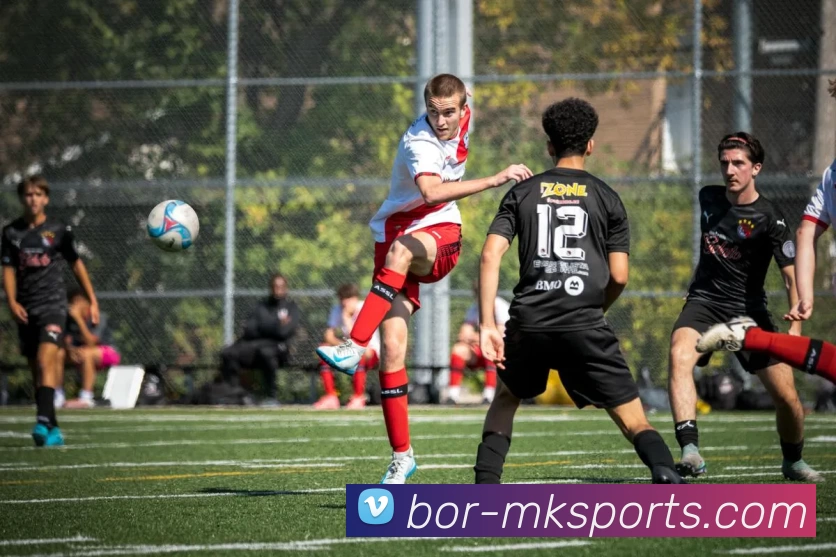 MKsports平台生态图